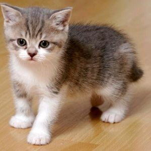 Meet your Posher, Kaylee